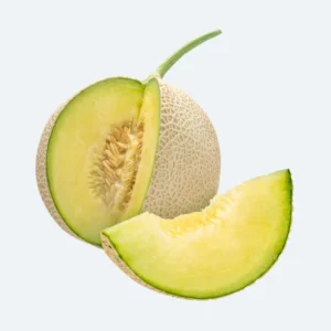 Japanese Crown Melon