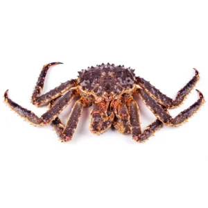 Buy Live King Crab Online