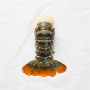 Maine Cold Water Lobster Tails 4-5oz