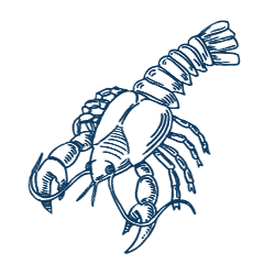 ndimg-icononsitebg-02
