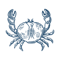 ndimg-icononsitebg-04