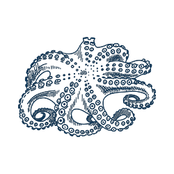 ndimg-icononsitebg-06